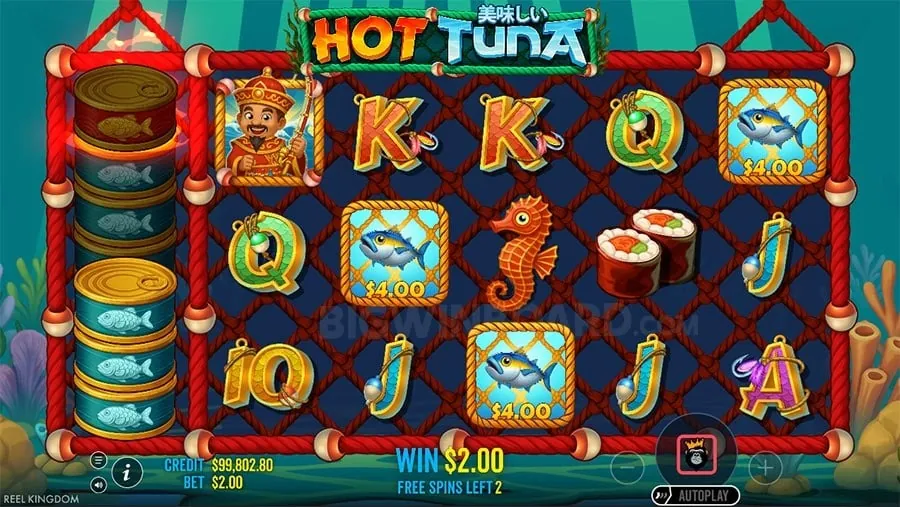 Professional Live Dealers